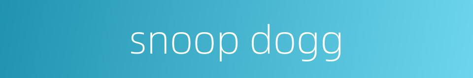 snoop dogg的同义词