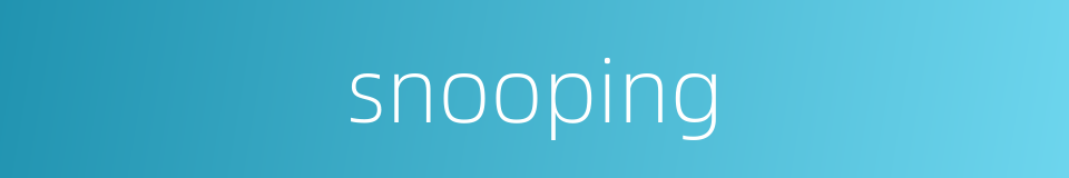 snooping的同义词