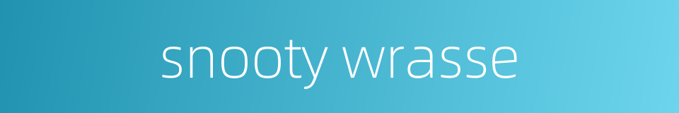 snooty wrasse的同义词