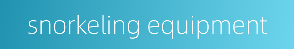 snorkeling equipment的同义词
