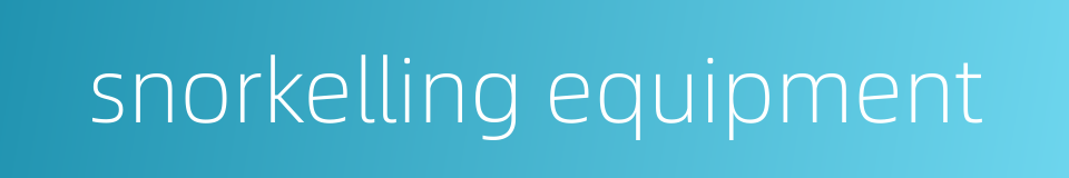 snorkelling equipment的同义词
