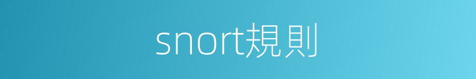snort規則的同義詞
