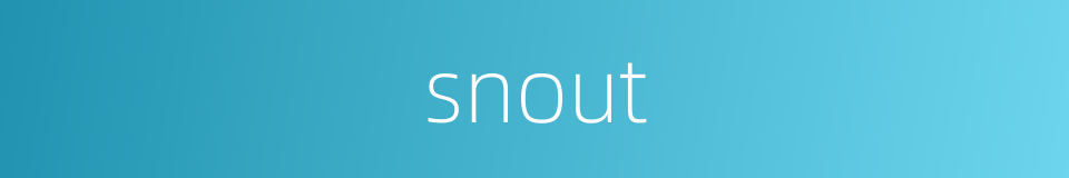 snout的同义词