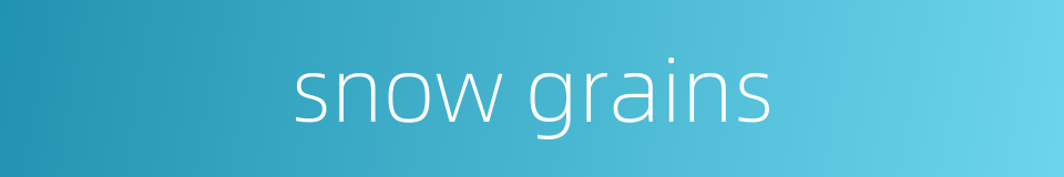 snow grains的同义词
