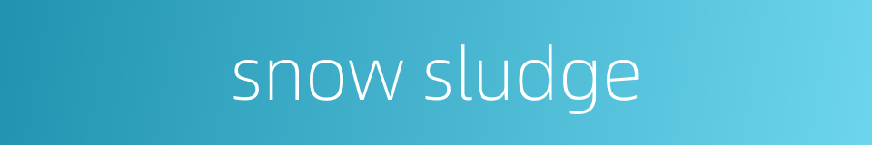 snow sludge的同义词