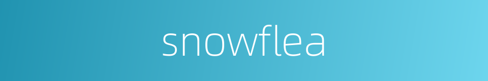 snowflea的同义词