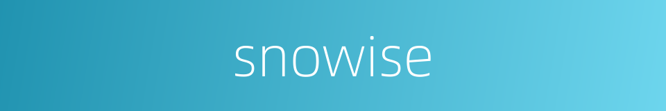 snowise的同义词