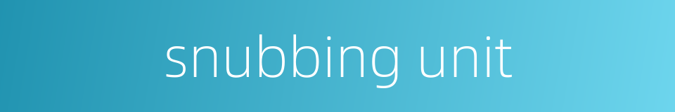 snubbing unit的同义词