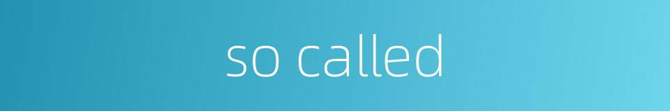 so called的同义词