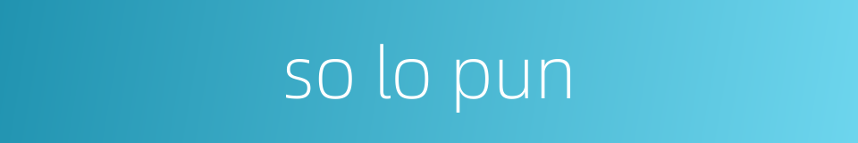 so lo pun的同义词