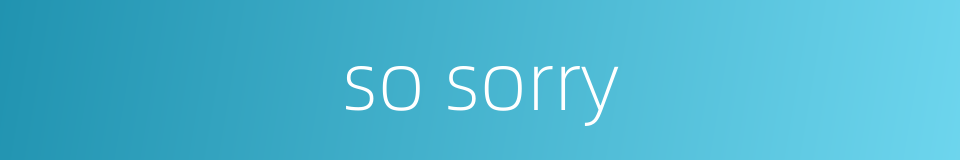 so sorry的同义词