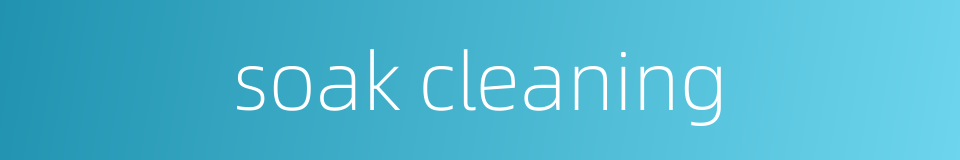 soak cleaning的同义词