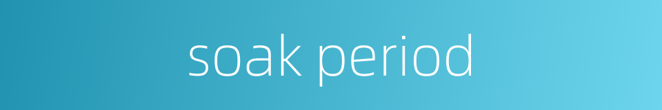 soak period的同义词