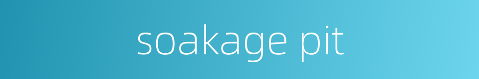 soakage pit的同义词