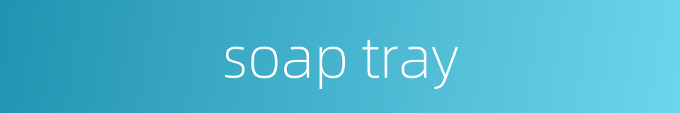 soap tray的同义词