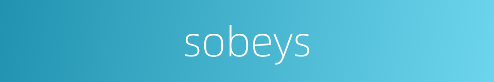 sobeys的同义词