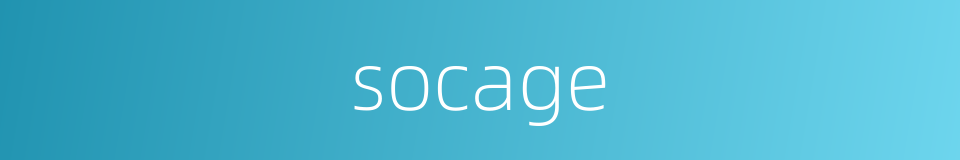 socage的同义词