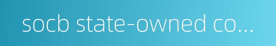 socb state-owned commercial bank的同义词