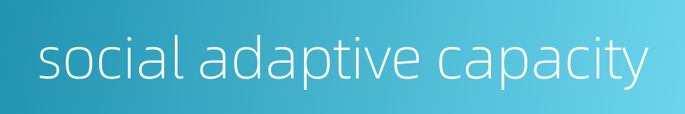 social adaptive capacity的同义词