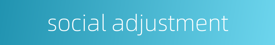 social adjustment的同义词