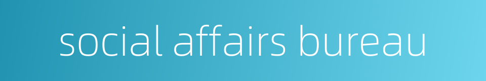 social affairs bureau的同义词
