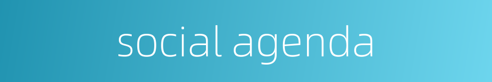 social agenda的同义词