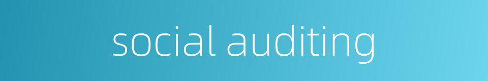social auditing的同义词