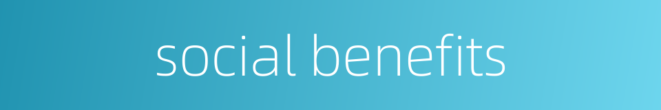 social benefits的同义词
