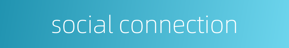 social connection的同义词