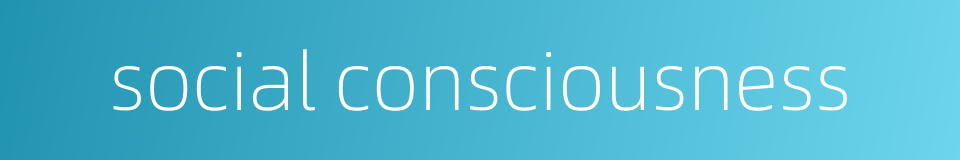 social consciousness的同义词