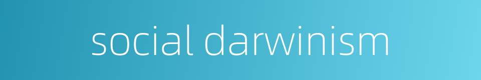 social darwinism的同义词