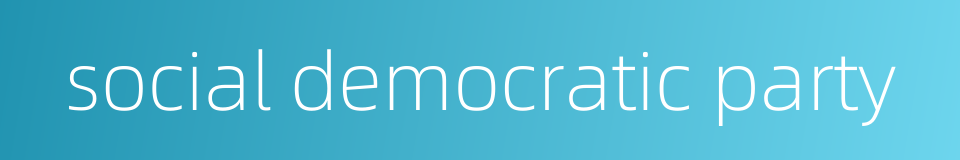 social democratic party的同义词