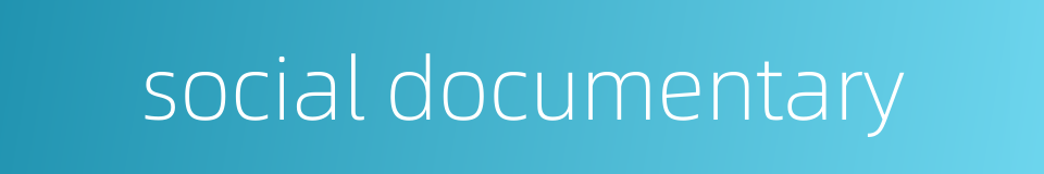 social documentary的同义词