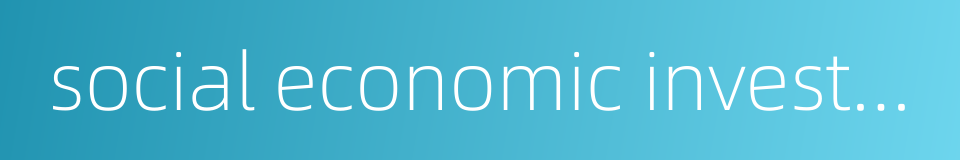 social economic investigation的同义词