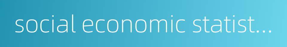 social economic statistics的同义词