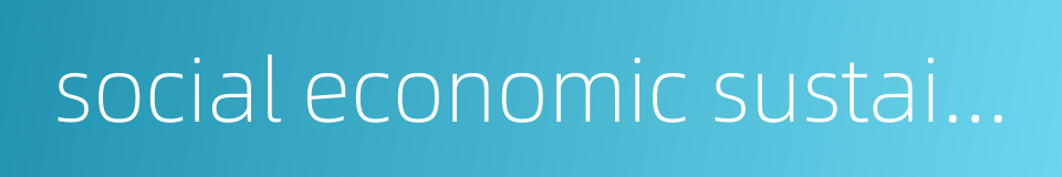 social economic sustainable development的同义词