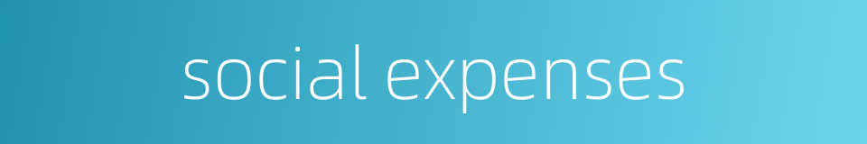 social expenses的同义词