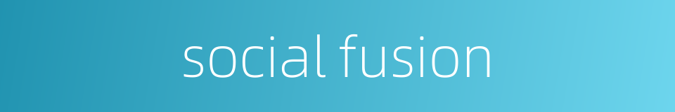 social fusion的同义词
