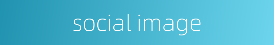 social image的同义词