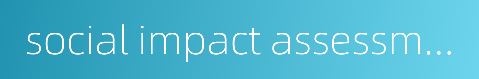 social impact assessment的同义词