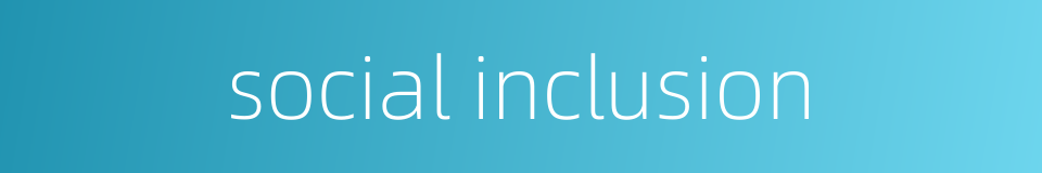 social inclusion的同义词