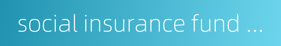 social insurance fund budget的同义词