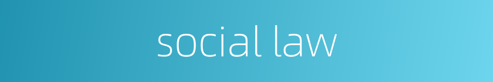 social law的同义词