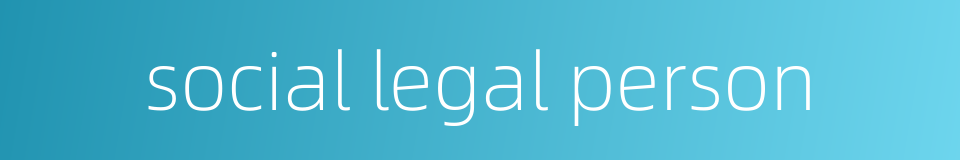 social legal person的同义词