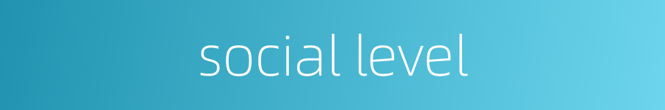 social level的同义词
