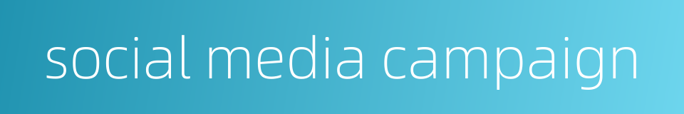 social media campaign的同义词