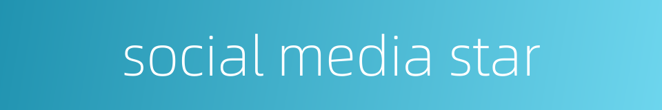 social media star的同义词