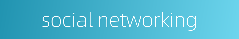 social networking的同义词