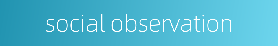 social observation的同义词