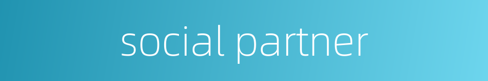 social partner的同义词